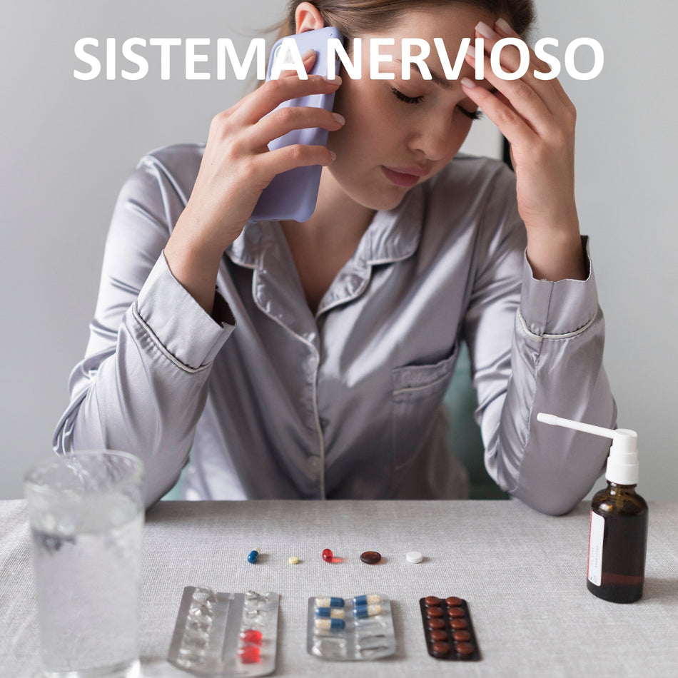 Sistema Nervioso